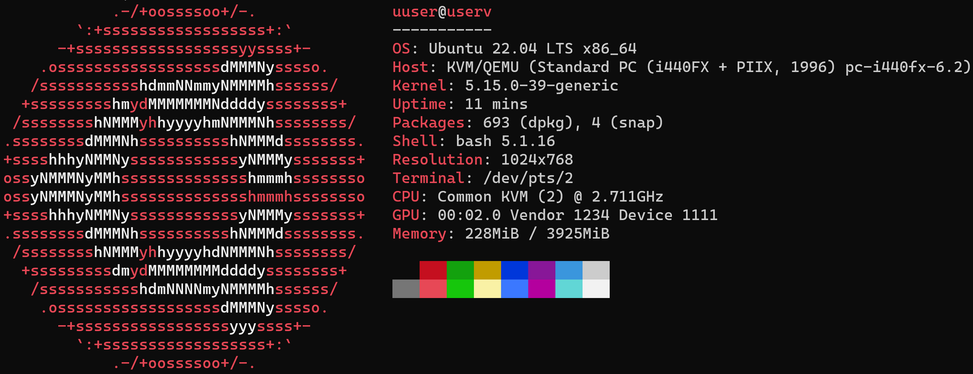 Virtual Ubuntu server setup